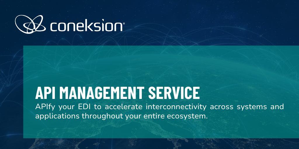 API Management Service | coneksion®